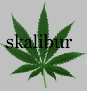 Skalibur profile picture