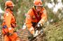 SES : State Emergency Services profile picture