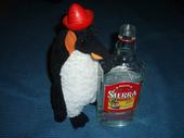 Tequila Penguin profile picture