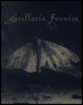 Stellaria Fennica profile picture