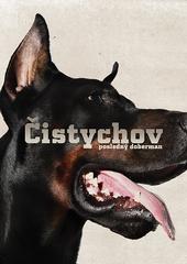 ÄŒISTYCHOV profile picture