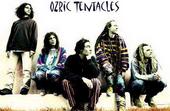 Ozric Tentacles profile picture