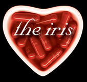 The Iris profile picture