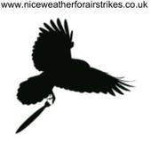 Nice Weather For Airstrikes profile picture