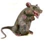 Ratas Rabiosas profile picture