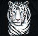 white tiger profile picture