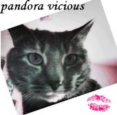 Pandora Vicious profile picture