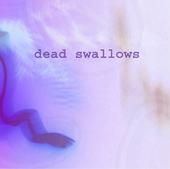 dead swallows profile picture