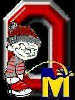 shepka bleeds scarlet and gray profile picture