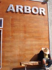 Arbor profile picture