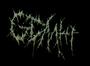 German Death Metal Horde profile picture