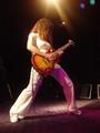 Zepparella profile picture