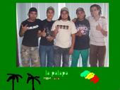 " LA PALAPA REGGAE BAND " profile picture