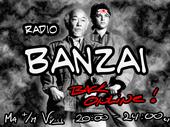 RAdiO BAnZAi in Hi-fi Stereo profile picture