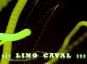 LINO CAVAL profile picture