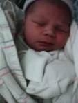 Aiden Raines is here profile picture