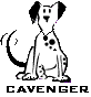 Cavenger.com profile picture