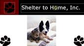 Shelter to Home, Inc. Animal Rescue profile picture
