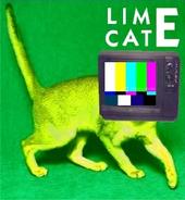 lime cat profile picture