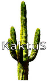 kaktus profile picture