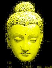 The Stone Buddhas profile picture