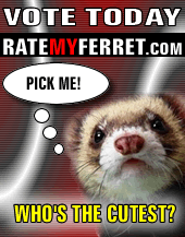 ratemyferret