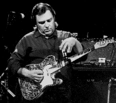 Danny Gatton profile picture