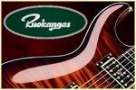 Ruokangas Guitars profile picture