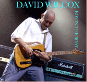 David Wilcox profile picture