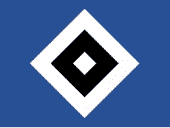 HSV profile picture