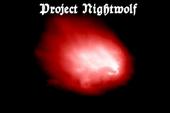 Project Nightwolf profile picture