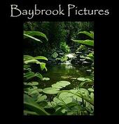 Baybrook Pictures profile picture