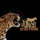 The Jungle: After Dark.Recording Studio and Video profile picture