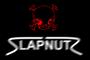 SLAPNUTZ (Changing Everything) profile picture