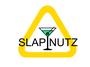 SLAPNUTZ (Changing Everything) profile picture