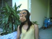 monkeyf