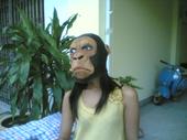 MONKEY profile picture