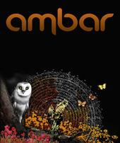 Ambar profile picture