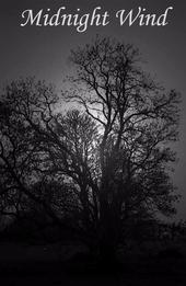 Midnight Wind profile picture