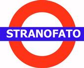 stranofato profile picture