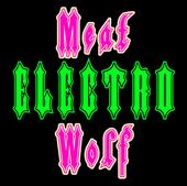 Electro Meat Wolf [Demo out now!!!] profile picture