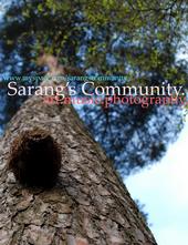 SARANGs™ Community profile picture