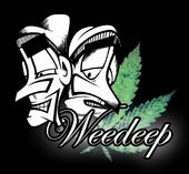 Weedeep profile picture