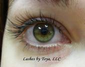 Lashes By Toya LLC , Xtreme Lashes profile picture