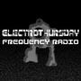 FrequencyRadio profile picture