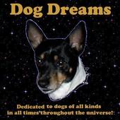 The Dog Dreams Project profile picture