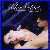 Blue Velvet profile picture