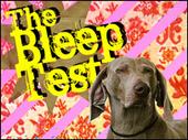 thebleeptestclub profile picture