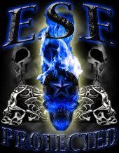 E.S.F PROTECTED INC profile picture