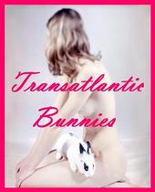 Transatlantic Bunnies profile picture